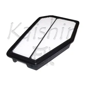 A10301 KAISHIN