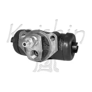 KAISHIN WCMI006