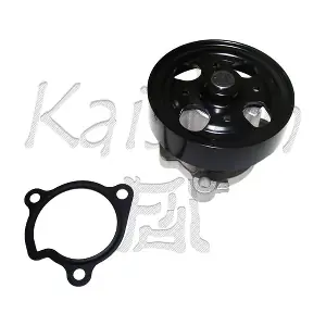 WPK215 KAISHIN