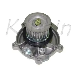 WPK018 KAISHIN