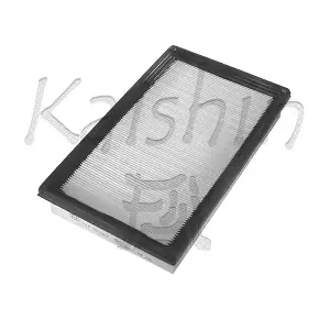 A10025 KAISHIN