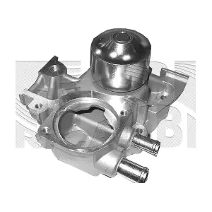 WPK267 KAISHIN