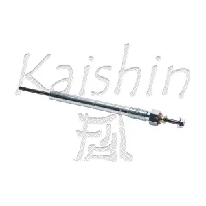39208 KAISHIN