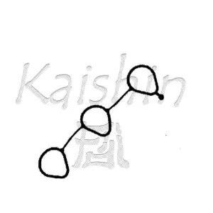 96569405 KAISHIN