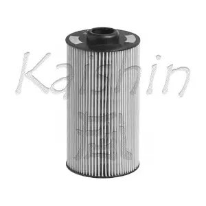 KAISHIN O979