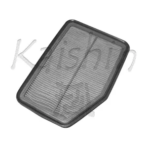 A454 KAISHIN