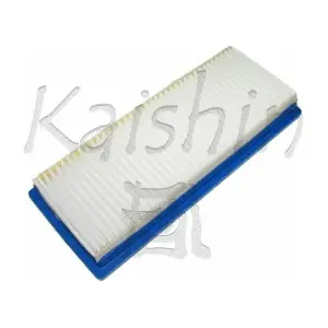 KAISHIN A10221