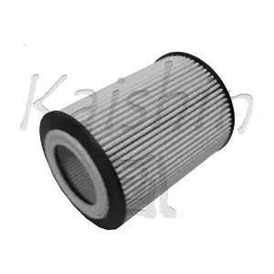 O950 KAISHIN