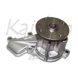 WPK456 KAISHIN