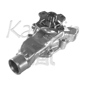 WPK009 KAISHIN