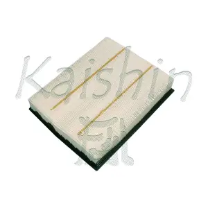 A10208 KAISHIN