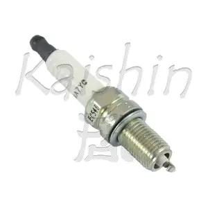 96464000 KAISHIN