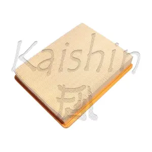 KAISHIN A10209