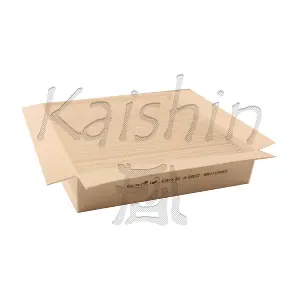 KAISHIN A20037