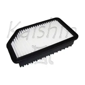 KAISHIN A10286