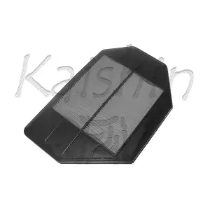 KAISHIN A891