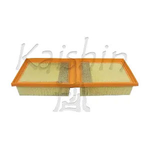 A10448 KAISHIN