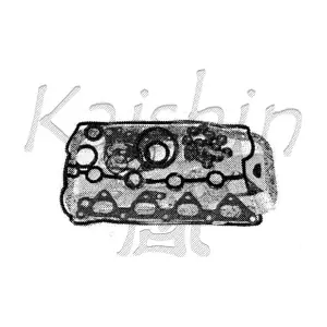 4180009 KAISHIN