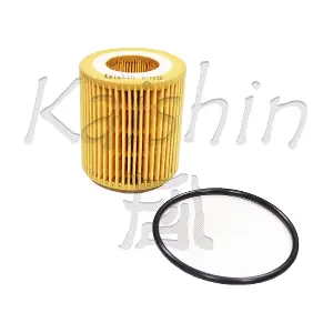 O1038 KAISHIN