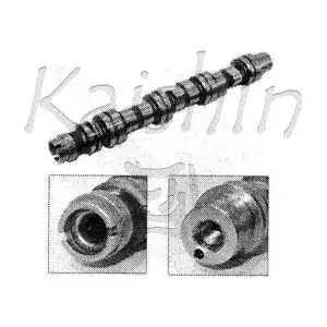 96316214 KAISHIN