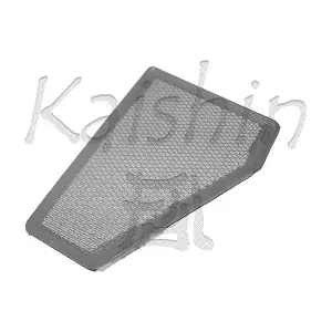 A10039 KAISHIN