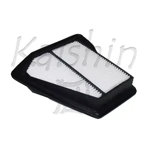 A10321 KAISHIN