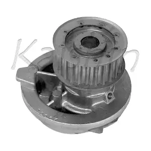 KAISHIN WPK056