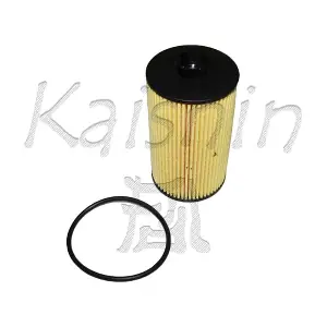 KAISHIN O987