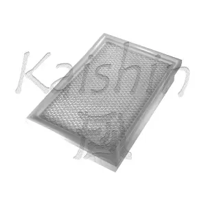A10032 KAISHIN