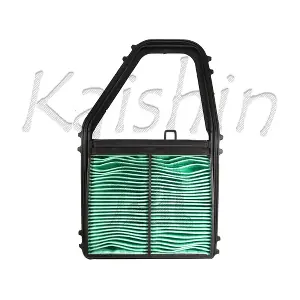 A10206 KAISHIN