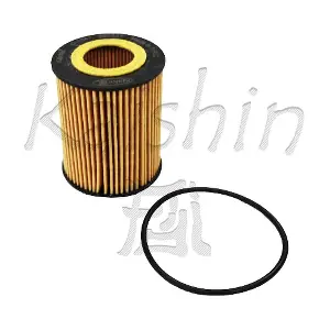O1041 KAISHIN