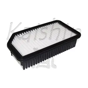 A10227 KAISHIN