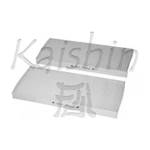 A20066 KAISHIN