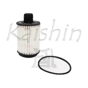 O1028 KAISHIN