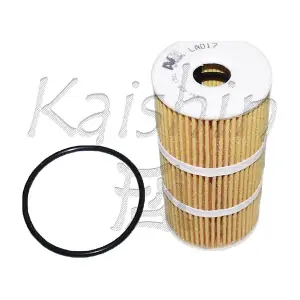 KAISHIN O1005