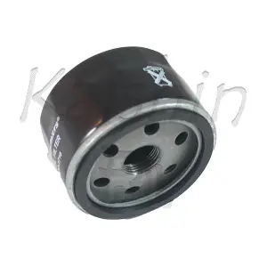 KAISHIN C1077