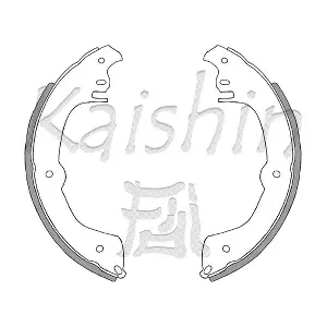 K10000 KAISHIN
