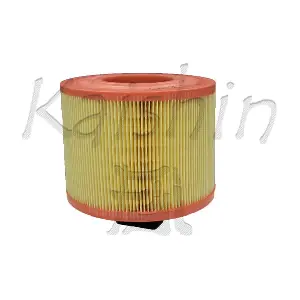 A10463 KAISHIN
