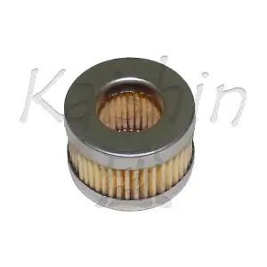FG011 KAISHIN