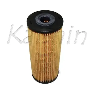 O1001 KAISHIN