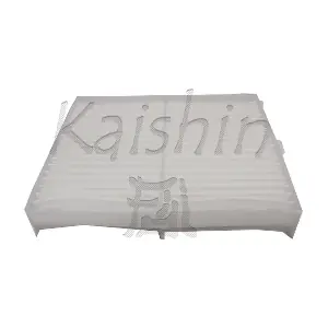 A20241 KAISHIN