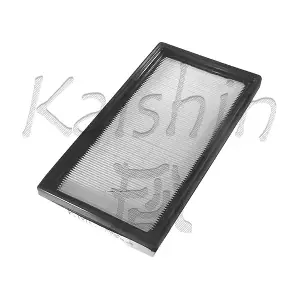 A10035 KAISHIN