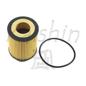 KAISHIN O1015