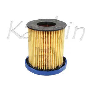 O1030 KAISHIN