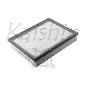 A10137 KAISHIN