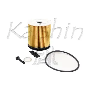 O1029 KAISHIN