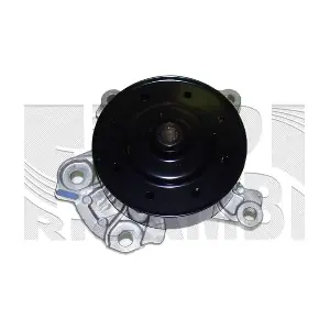 WPK310 KAISHIN