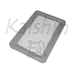 A981 KAISHIN