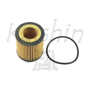 O1014 KAISHIN