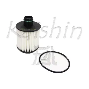 O1036 KAISHIN
